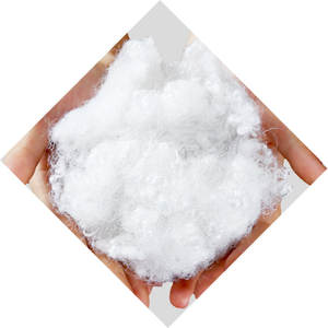 Frequently Asked Questions About Soluble Fiber in Grapefruit